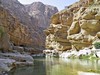 Wadi Shab (Omán, Dreamstime)